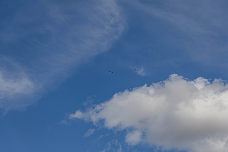 2V5A7707.jpg
